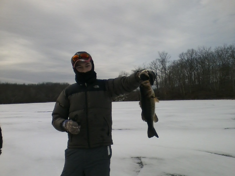 Largemouth at Cleveland Pond