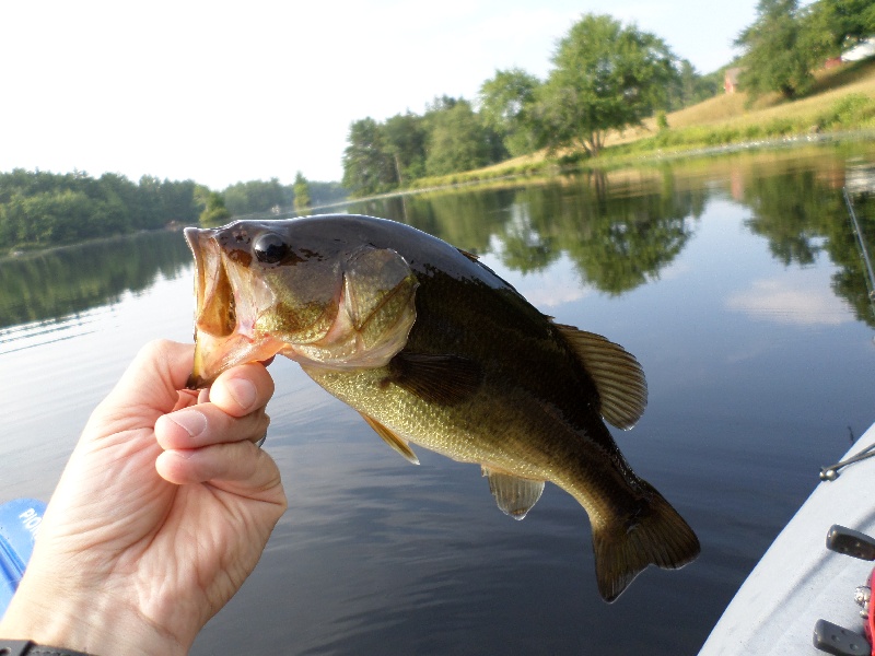 Brigham Pond