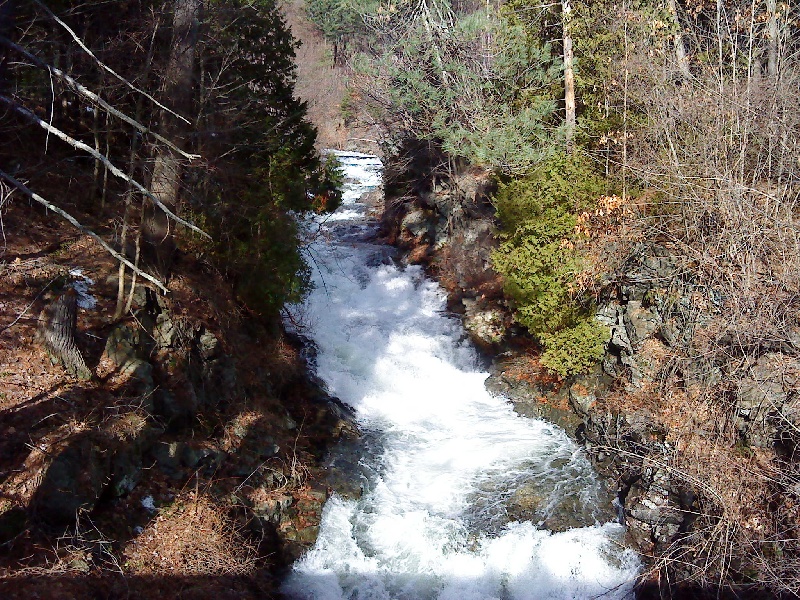 Rainbows at the dam