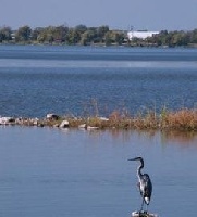 Horseshoe Lake